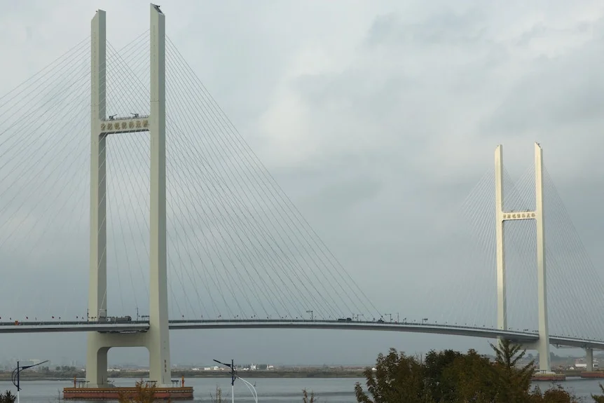 A large cable-stayed bridge with two tall white towers spans a wide river under grey skies, with vehicles visible on its deck.