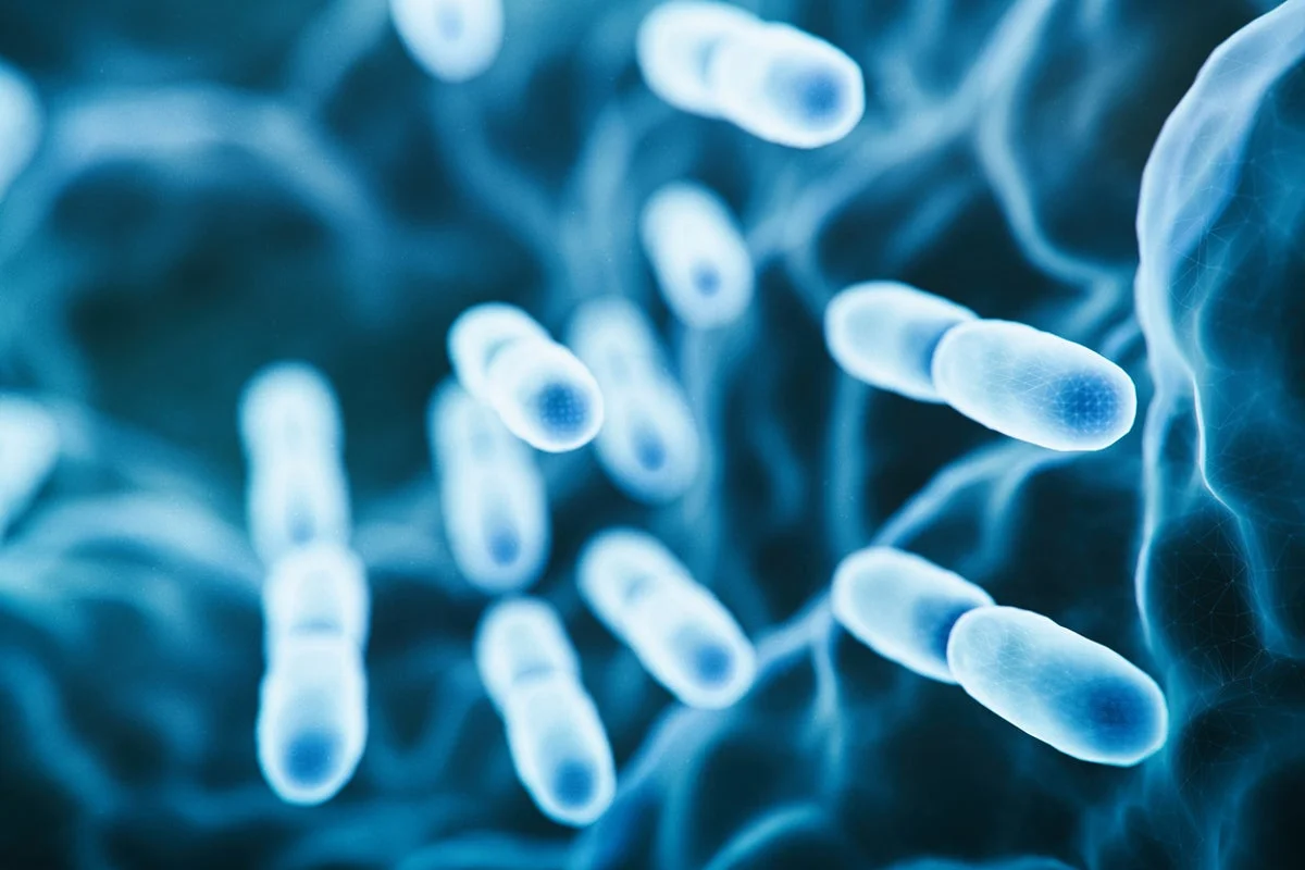 New York Legionnaires' Disease Outbreak: Possible Source Discovered, Symptoms to Watch For