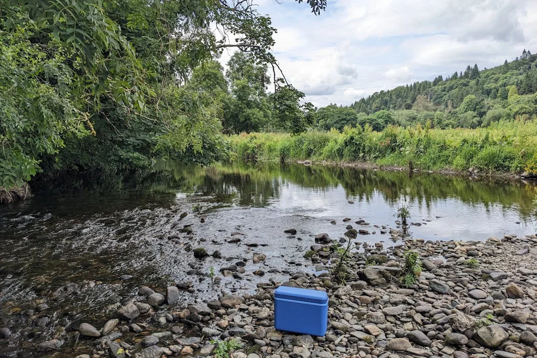 Harnessing Environmental DNA: Unlocking Insights from River Water