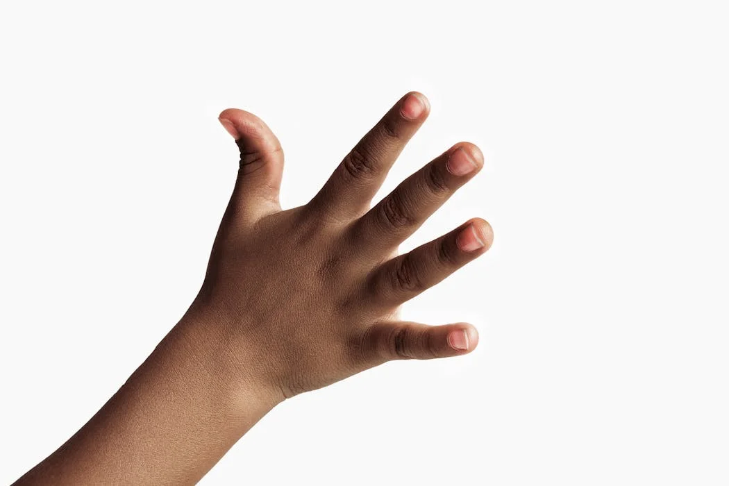 Understanding the Complexity of Finger Length Variation and Its Functional Roles