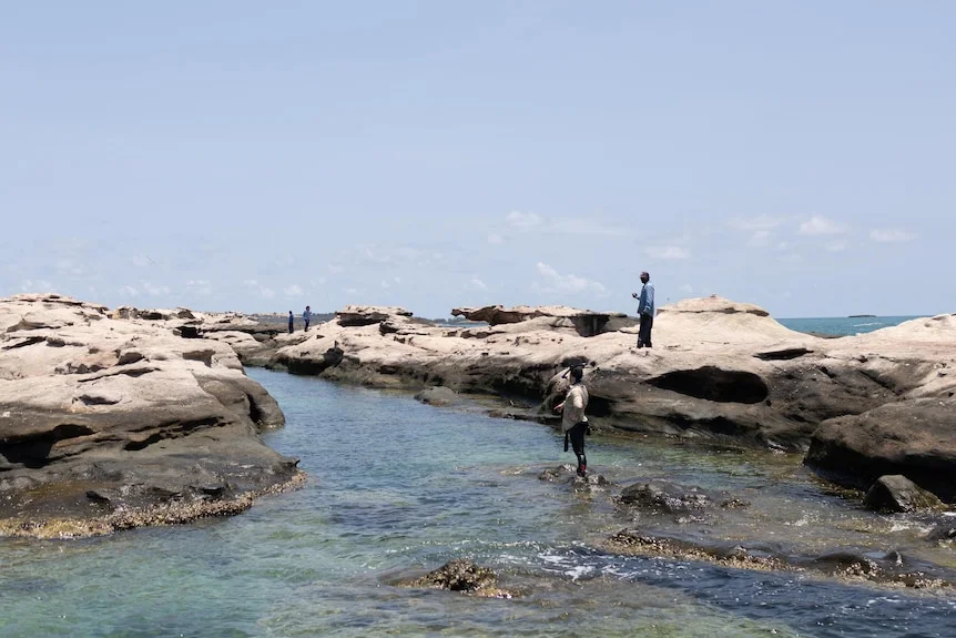 Researchers standing on rocky shore