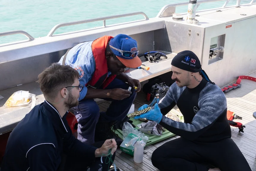 Indigenous ranger speaking with researchers while on a boat