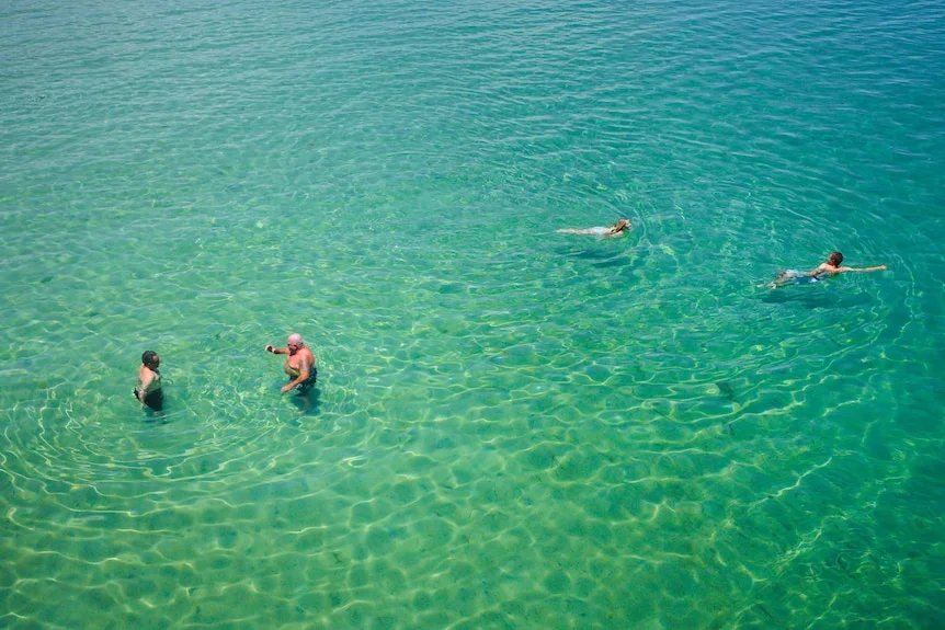 A wide birds eye shot of four swimmers in the sea.