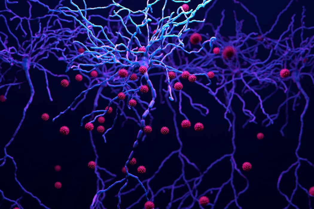 HIV Persistence in the Brain: Paradoxical Effects of Inflammation-Reducing Drugs