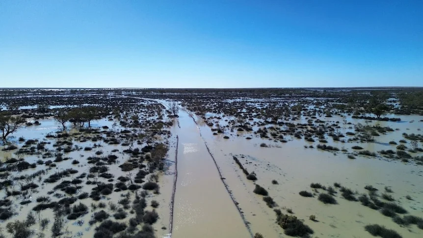 An aerial shot of a road covered in brown water, with shrubs sticking out of the water around the road.