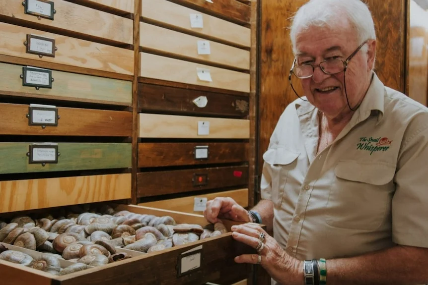 Older gentleman with grey hair holding a snail shell in front of lots of narrow wooden drawers.