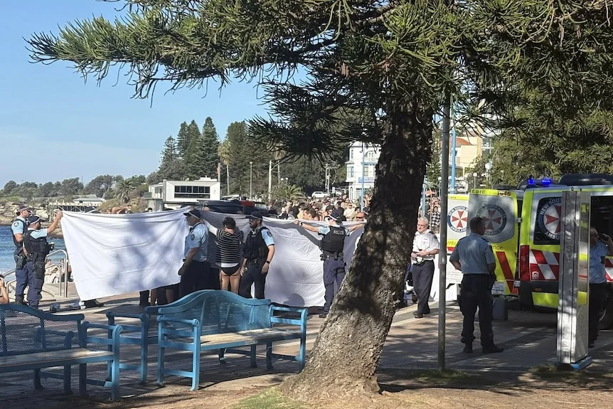 NSW Ambulances and staff holding up a towel next to a tree as they treat a woman.