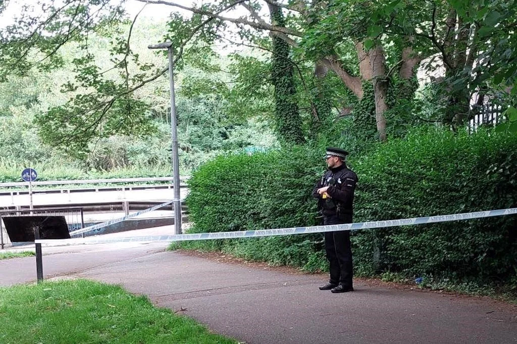 Central Park, Essex, where a 21-year-old man was fatally assaulted