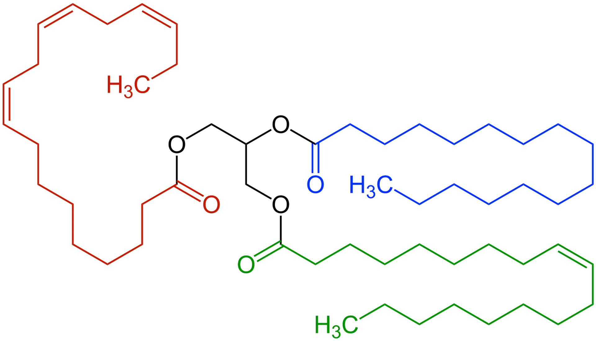 A chemical structure diagram of a triglyceride, which has long carbon and hydrogen chains coming off oxygen molecules linked together.