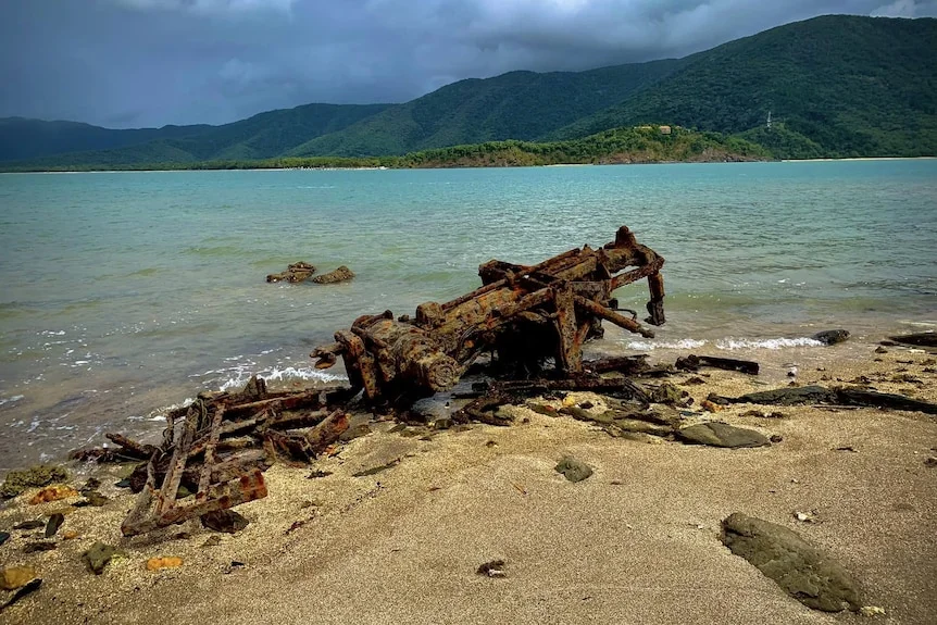 scene from an abandoned tropical island.