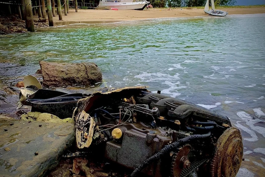 scene from an abandoned tropical island.