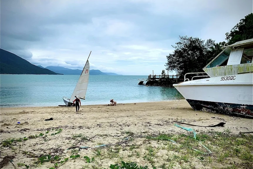 scene from an abandoned tropical island.
