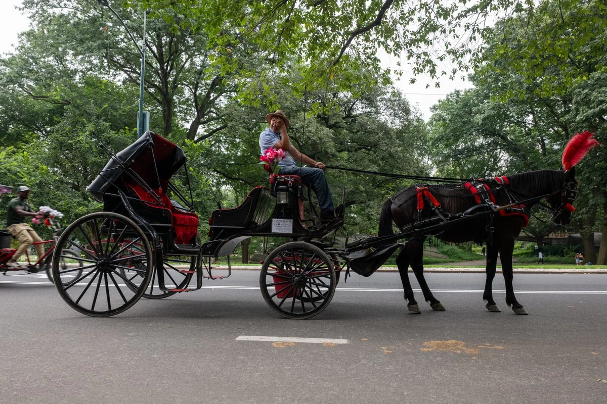 18-year-old dies after being thrown from horse-drawn carriage in Central Park