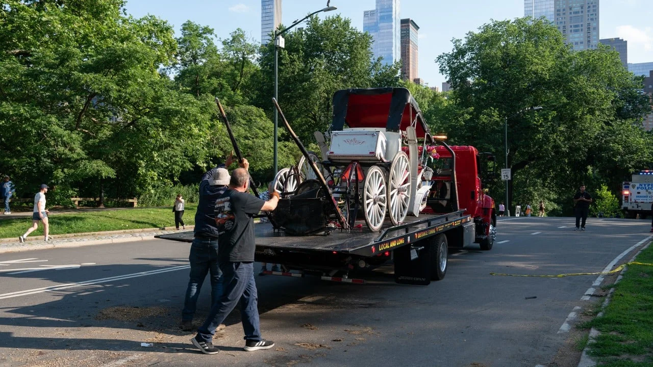 Teen dies in horse carriage incident in New York’s Central Park