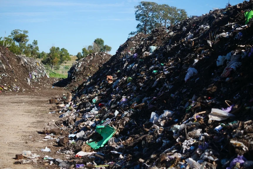 Piles of dirt with bits of rubbish throughout
