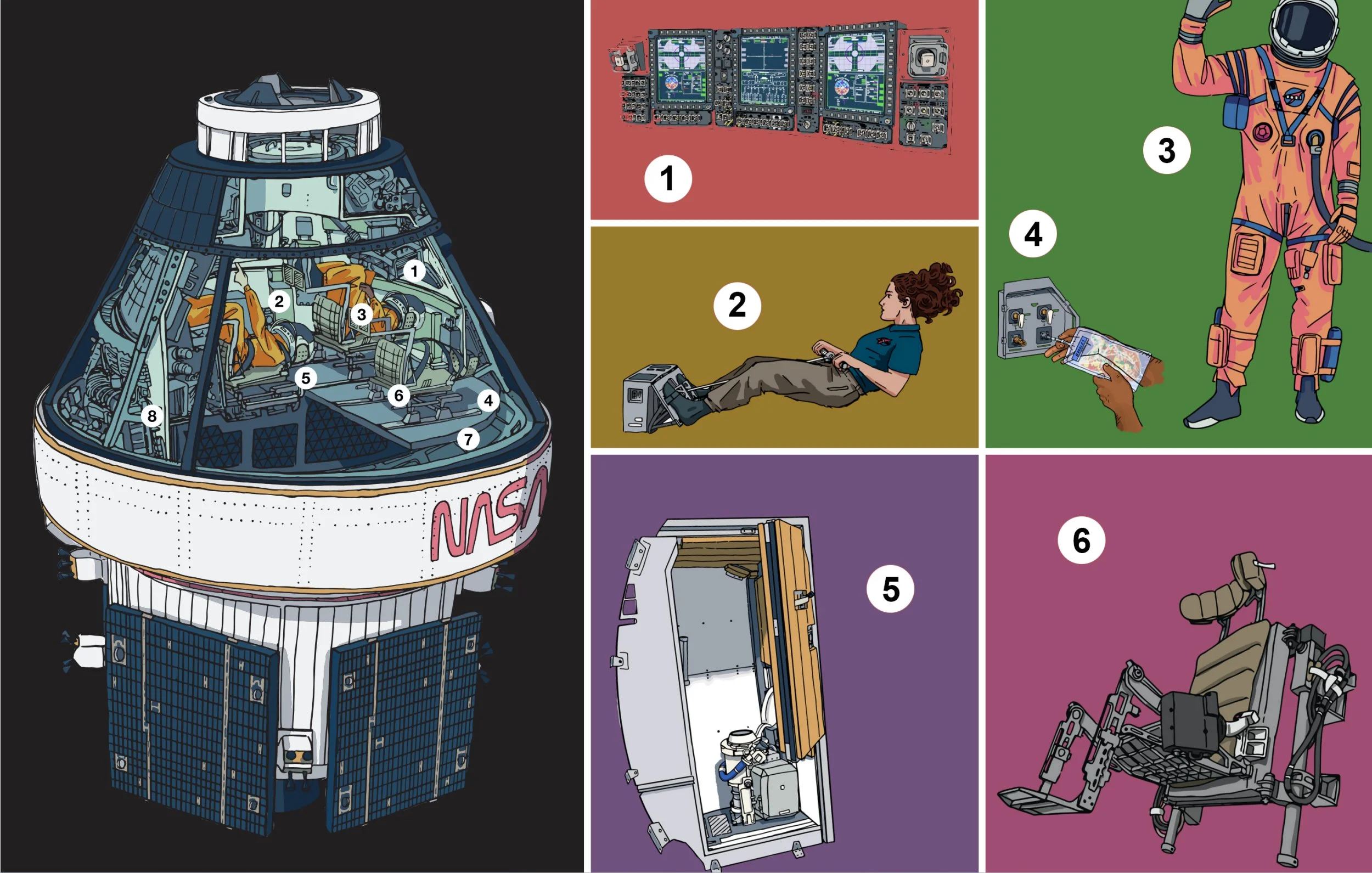 Life Inside Orion (Picture: NASA) Caption info: https://www.nasa.gov/wp-content/uploads/2026/02/life-in-orion-fact-sheet-2026-2.pdf