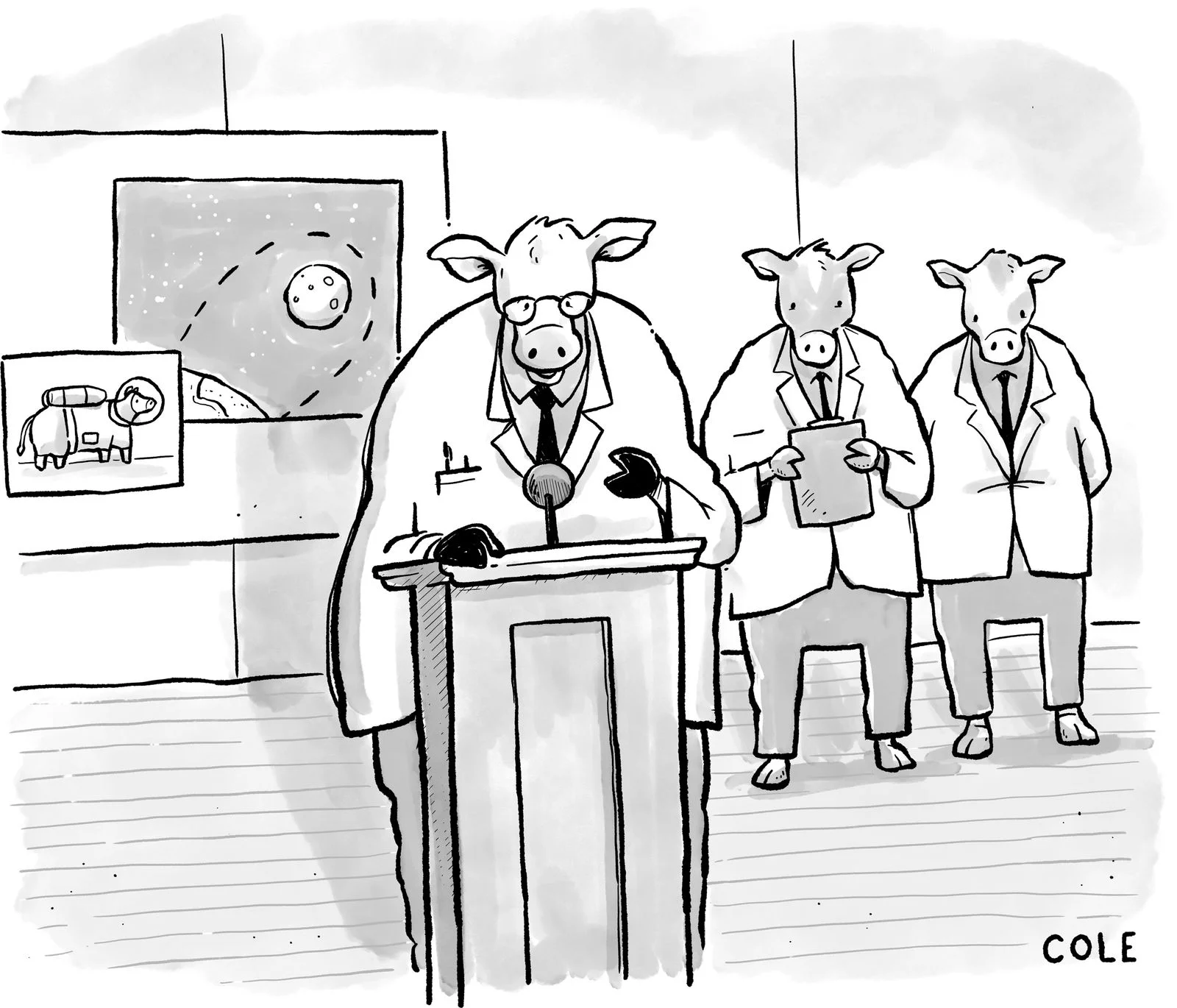 Cow scientists at press conference about jumping over moon.