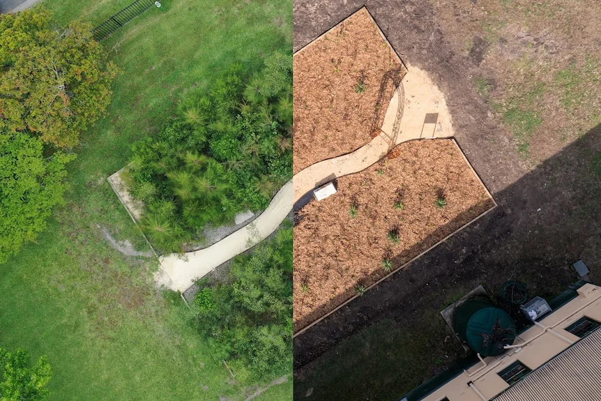 before and after image of a small forest planting