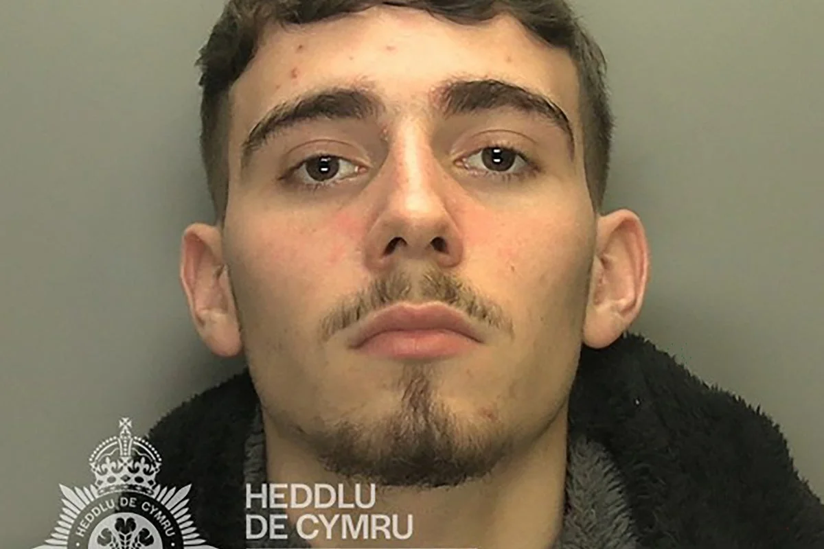 Teenager Receives Life Sentence for Fatal Car Incident Involving Mother of Three